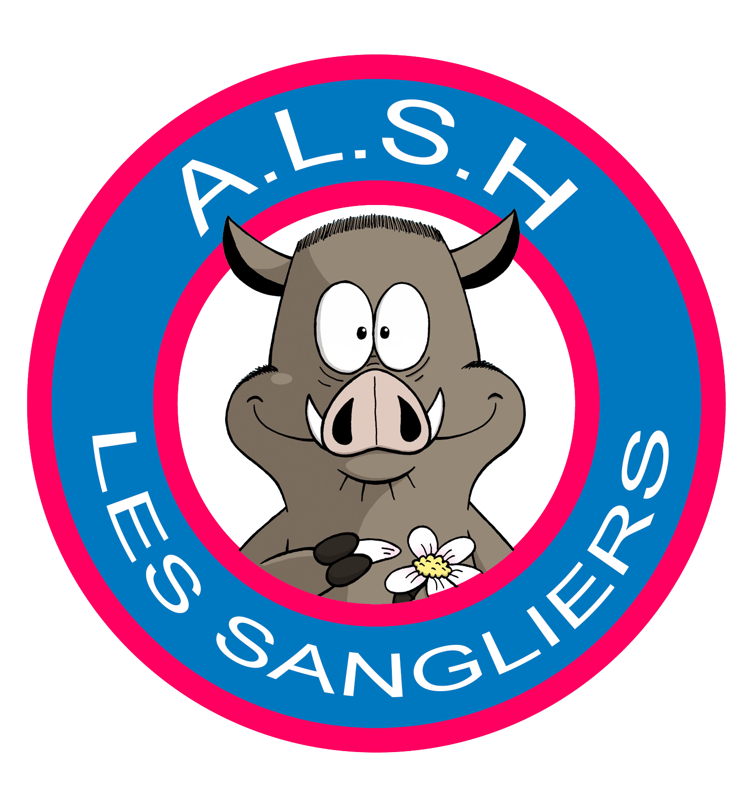 Logo de Directeur ALSH