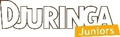 Logo de Djuringa Juniors