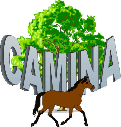 Logo de https://camina.osane.fr/